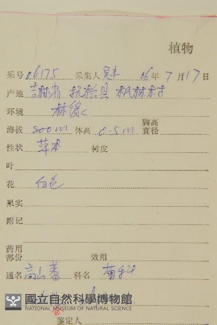 蓍草藏品圖，第2張