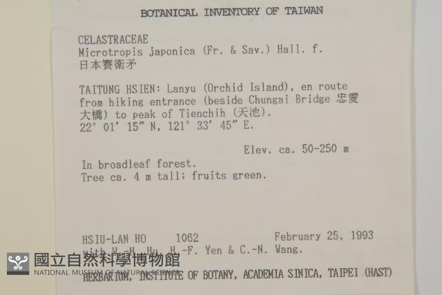日本賽衛矛、日本假衛矛藏品圖，第2張