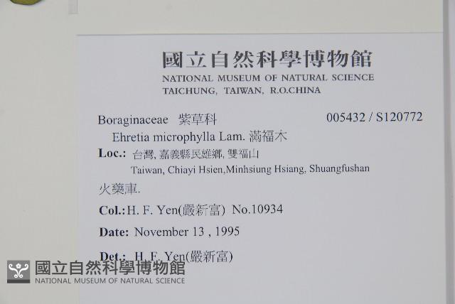 滿福木藏品圖，第2張