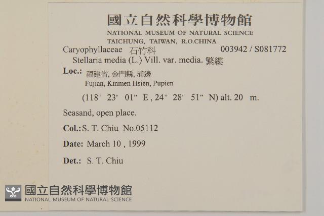 繁縷藏品圖，第2張