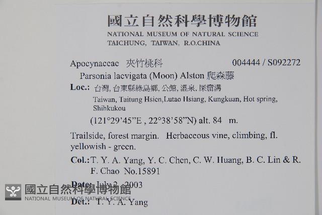 爬森藤藏品圖，第2張