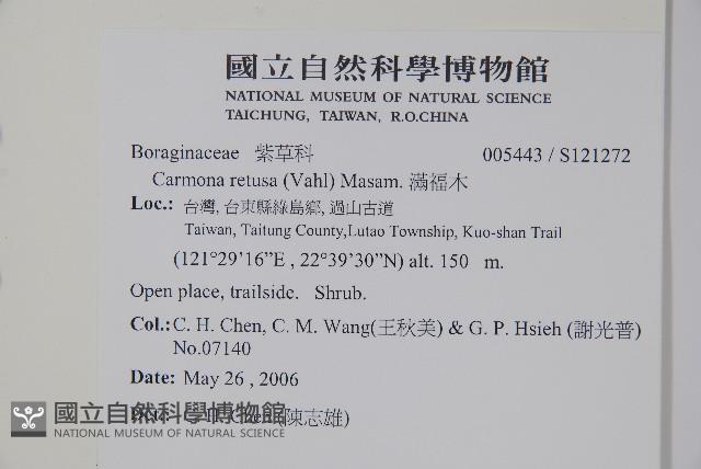 滿福木藏品圖，第2張