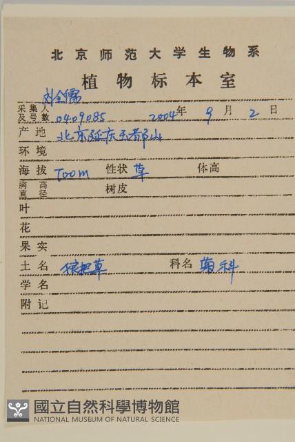 狼把草藏品圖，第2張