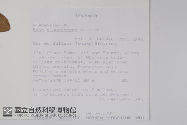 登錄號:S093472藏品圖，第2張