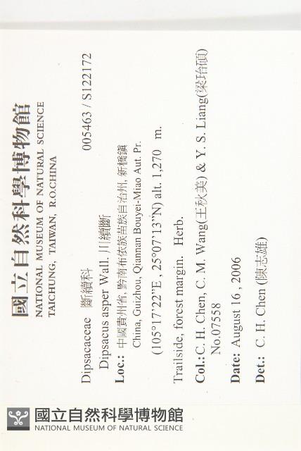 川續斷藏品圖，第2張