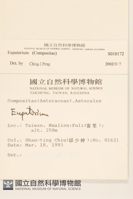 登錄號:S010172藏品圖，第2張