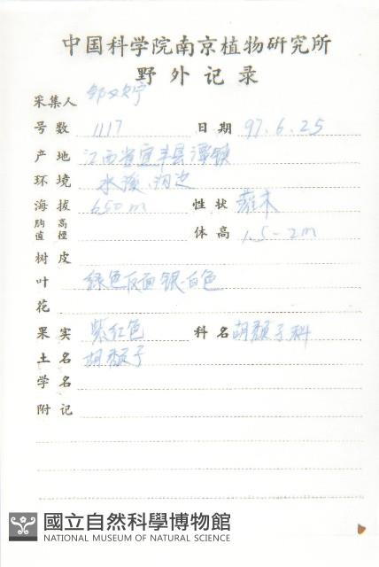 銀果胡頹子藏品圖，第2張