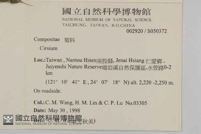 鱗毛薊藏品圖，第2張