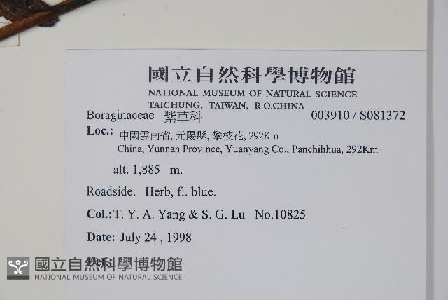 登錄號:S081372藏品圖，第2張