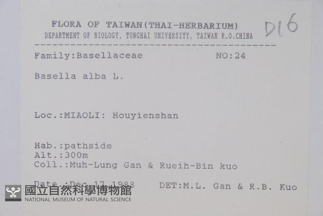 落葵藏品圖，第2張