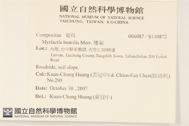 矮菊藏品圖，第2張