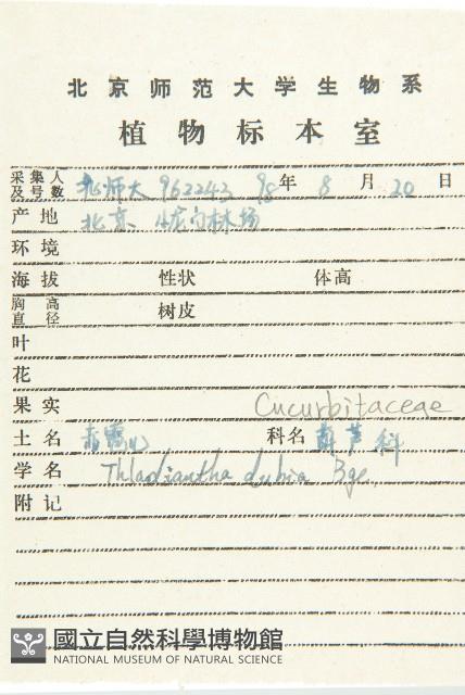 赤瓟藏品圖，第2張