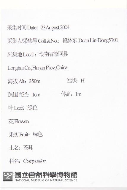 蒼耳藏品圖，第2張