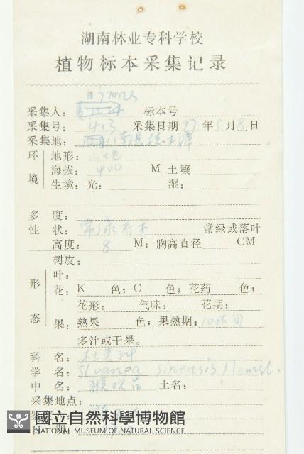 猴歡喜藏品圖，第2張