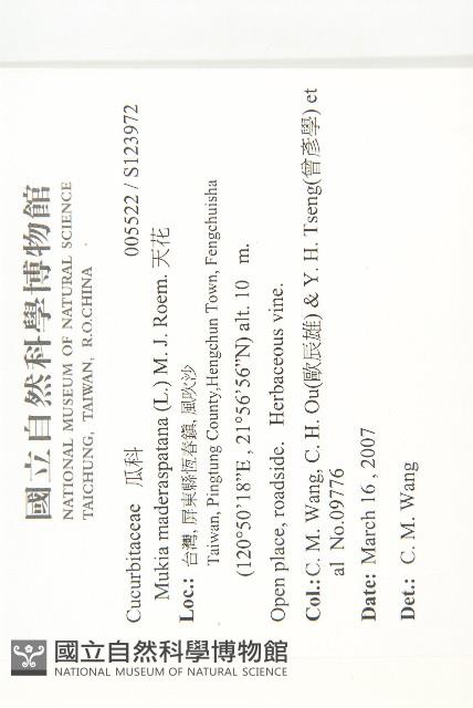 天花藏品圖，第2張