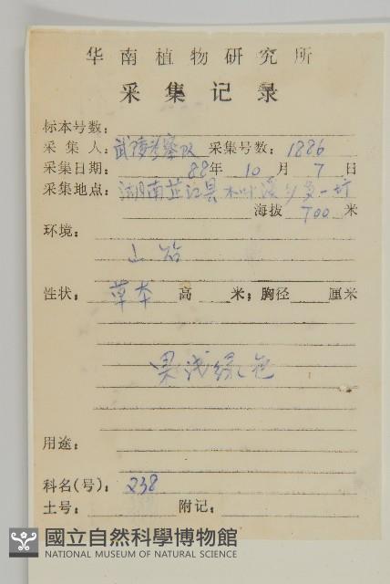 珍珠蒿、奇蒿藏品圖，第2張