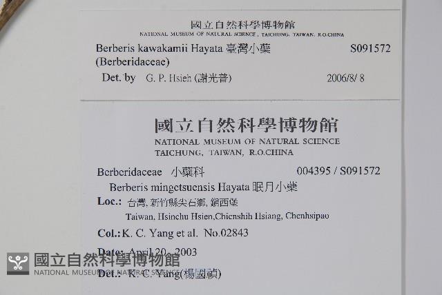 太魯閣小檗藏品圖，第2張