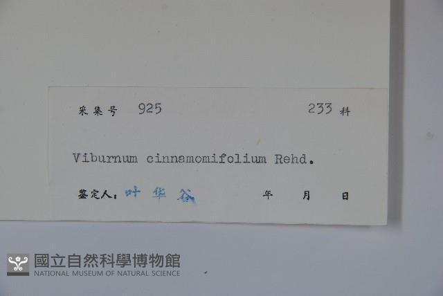 Accession Number:S041572 Collection Image, Figure 2, Total 2 Figures