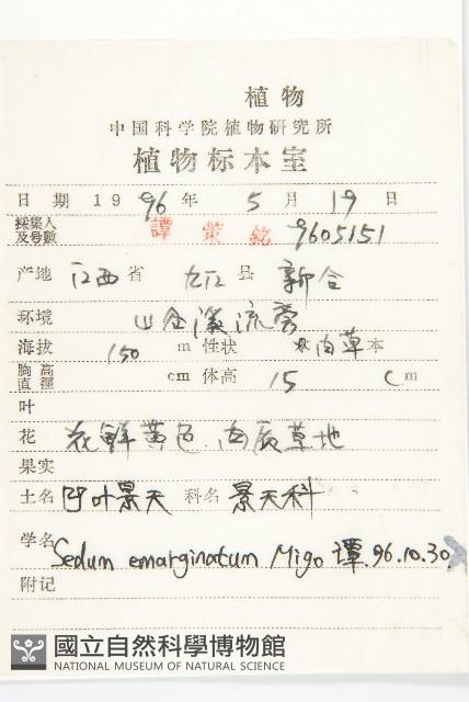 凹葉景天藏品圖，第2張