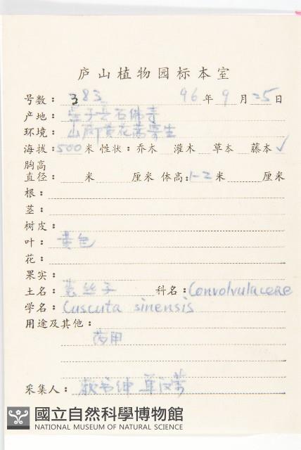 中國菟絲子藏品圖，第2張