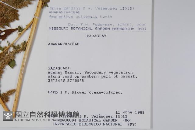 登錄號:S080682藏品圖，第2張