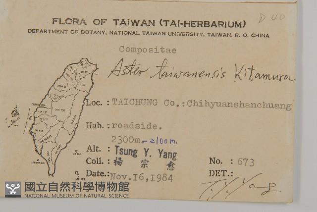 臺灣馬蘭藏品圖，第2張