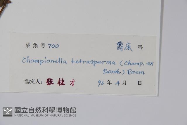 黃瓊草藏品圖，第2張