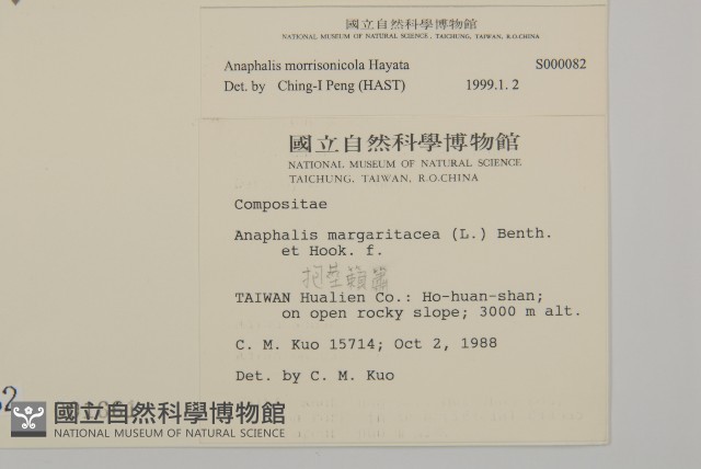 玉山抱莖籟簫藏品圖，第2張