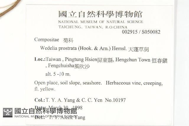 天蓬草舅藏品圖，第2張