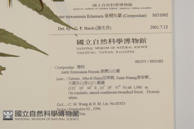 臺灣馬蘭藏品圖，第2張