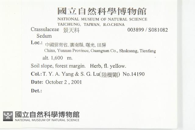 登錄號:S081082藏品圖，第2張