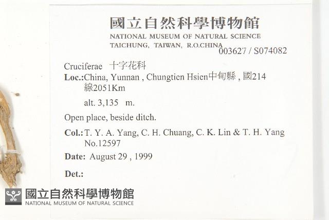 登錄號:S074082藏品圖，第2張