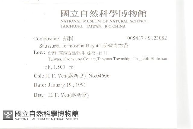 臺灣青木香藏品圖，第2張