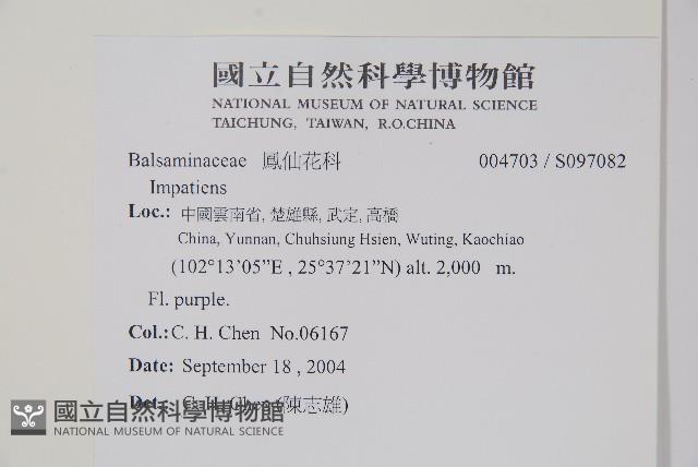 登錄號:S097082藏品圖，第2張