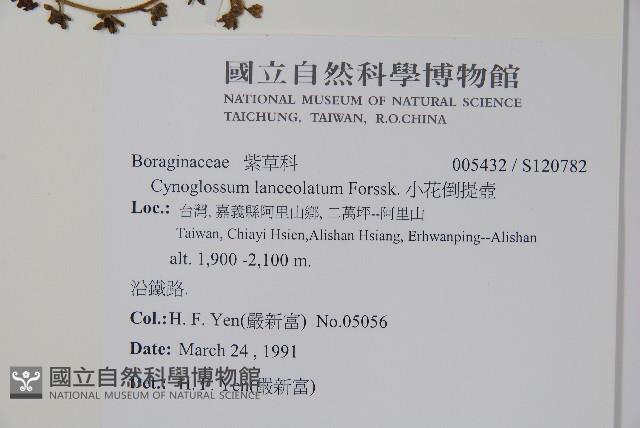 小花倒提壺藏品圖，第2張