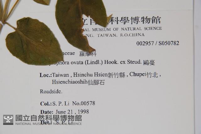 鷗蔓藏品圖，第2張