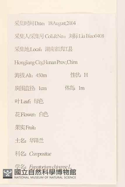 華澤蘭藏品圖，第2張