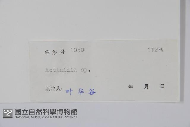 登錄號:S043782藏品圖，第2張