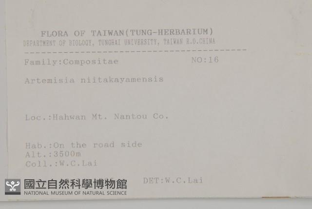 高山艾藏品圖，第2張