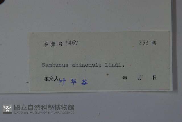 冇骨消藏品圖，第2張