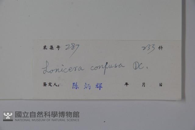 山銀花藏品圖，第2張