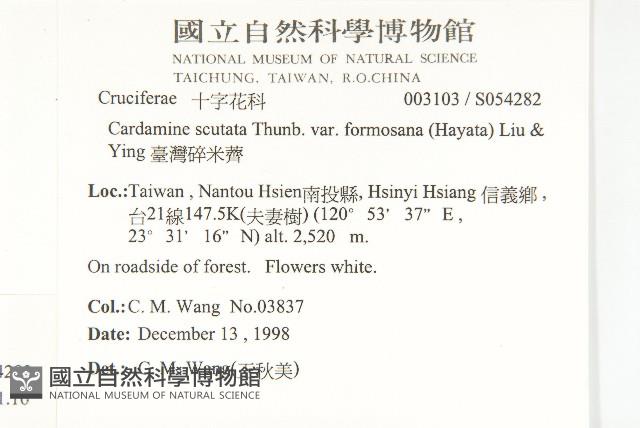 焊菜藏品圖，第2張