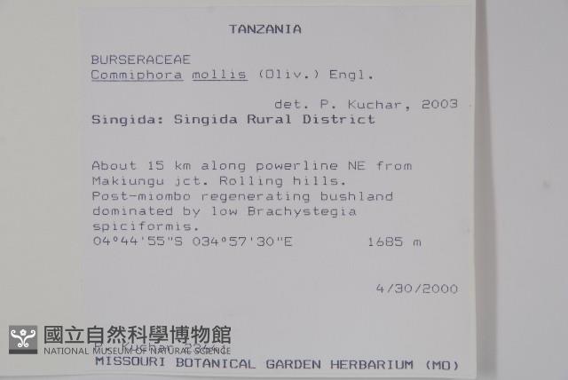 登錄號:S094282藏品圖，第2張