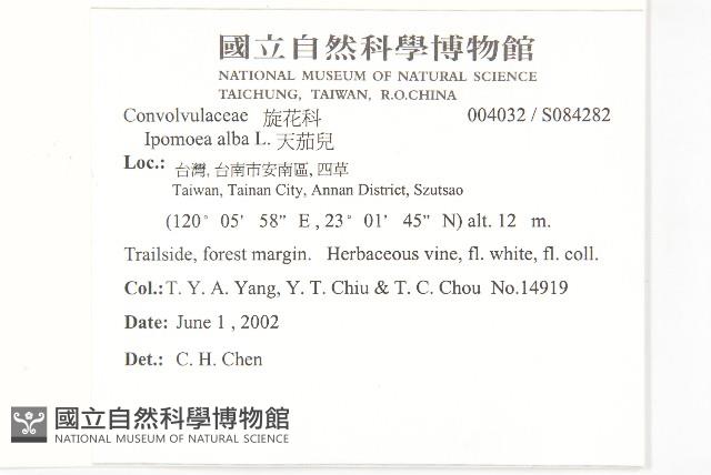 天茄兒藏品圖，第2張