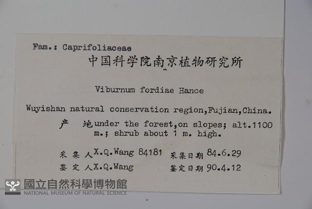 南方莢迷藏品圖，第2張