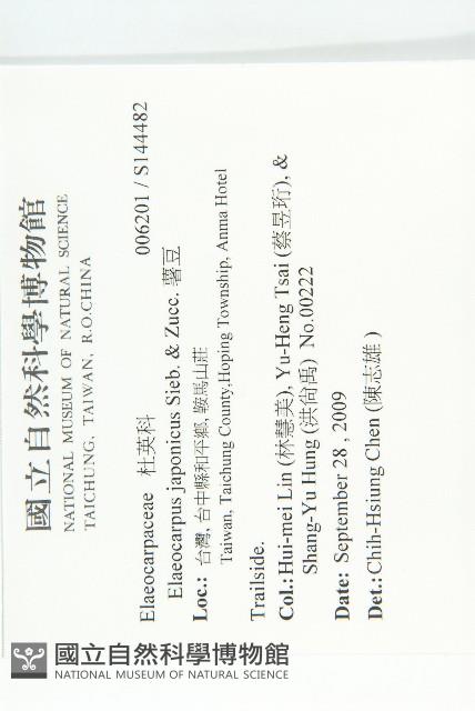 薯豆藏品圖，第2張