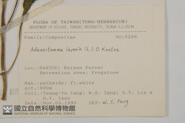 下田菊藏品圖，第2張