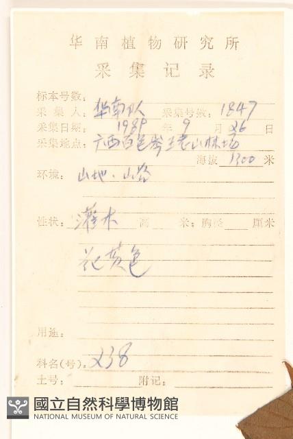 登錄號:S040182藏品圖，第2張