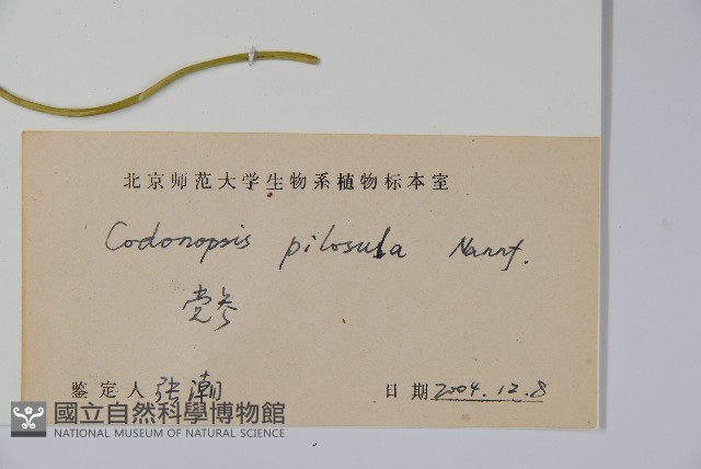 台參藏品圖，第2張