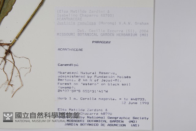 登錄號:S113182藏品圖，第2張